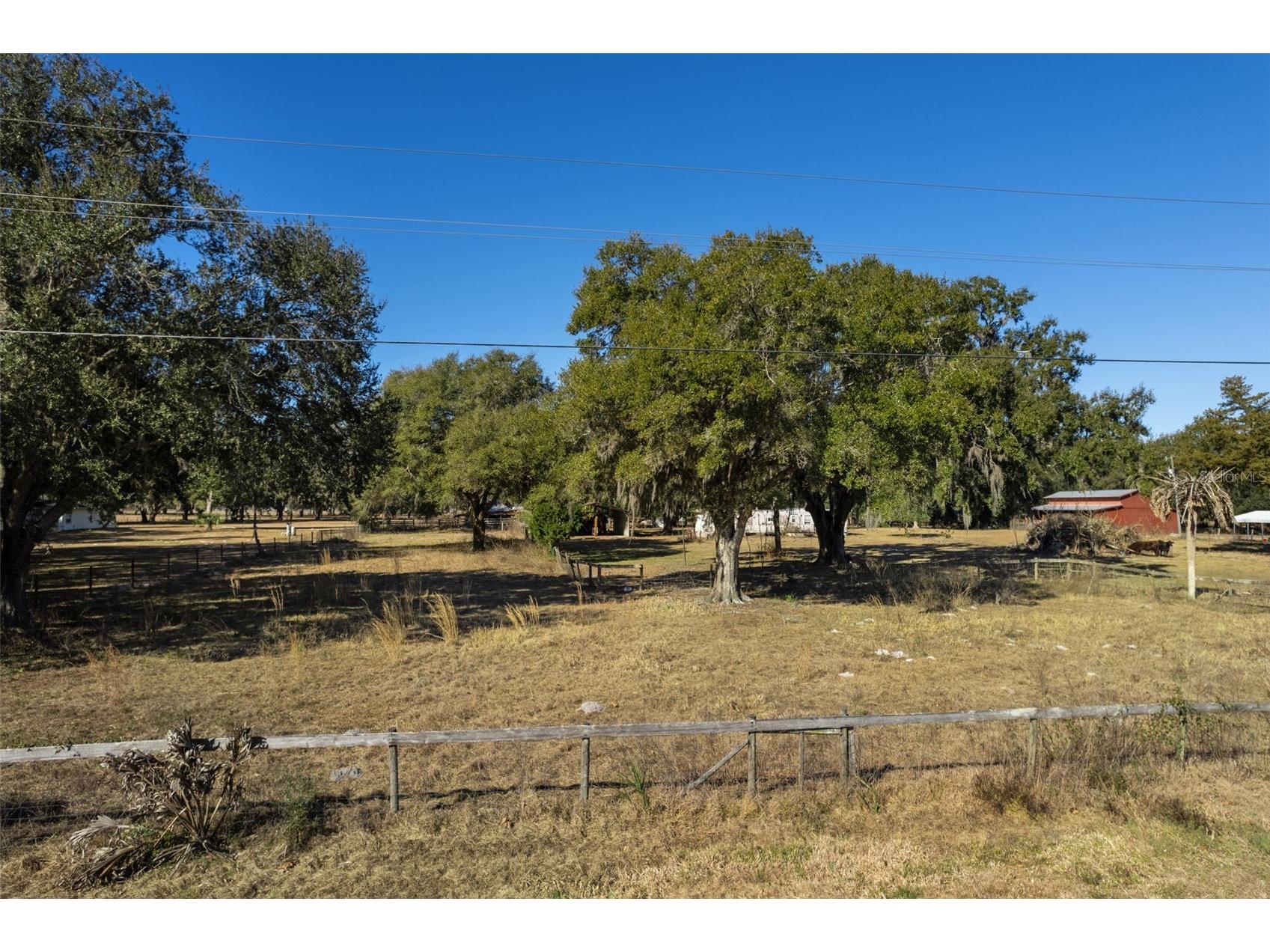 3936 Cr 311 Bushnell FL 33513 W7882635 image17