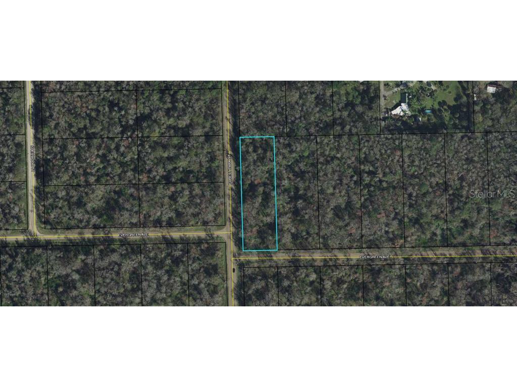 3936 Evergreen Avenue Bunnell FL 32110 FC275235 image2