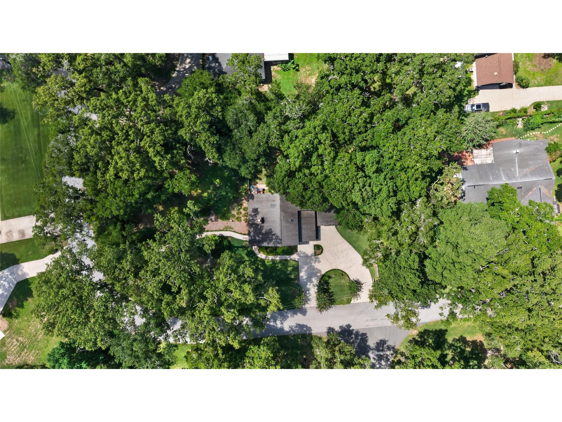 3936 SE 23rd Terrace Ocala FL 34480 OM729145 image7