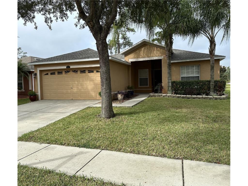 3937 Constantine Loop Wesley Chapel FL 33543 U8215601 image1