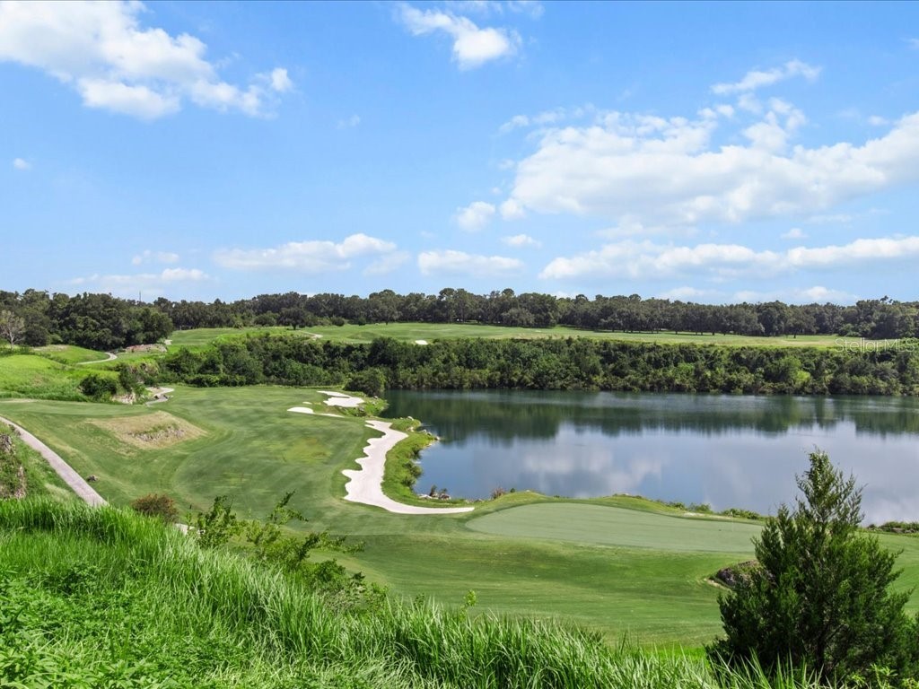 3937 W Shadow Creek Loop Lecanto FL 34461 OM707150 image48