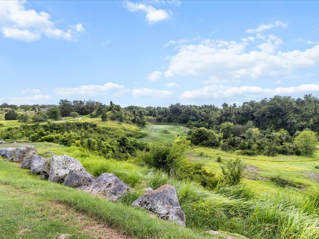 3937 W Shadow Creek Loop Lecanto FL 34461 OM707150 image51