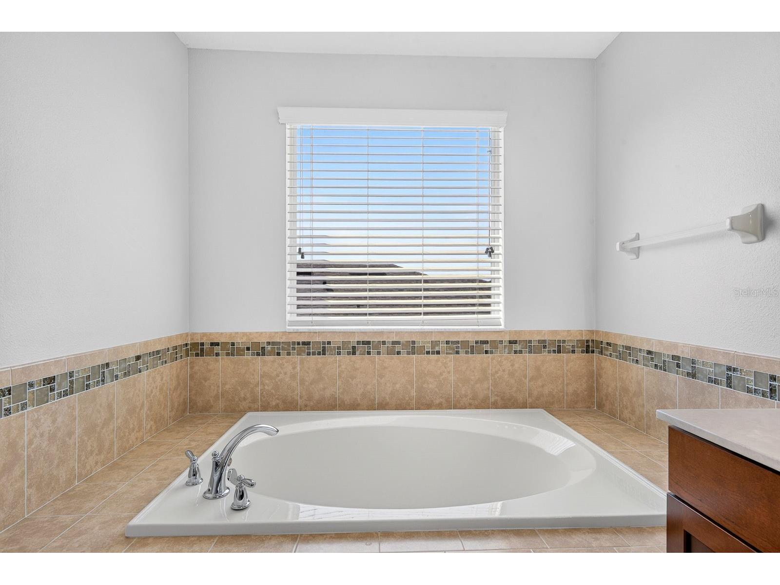 3938 90th Avenue E Parrish FL 34219 A4698484 image41
