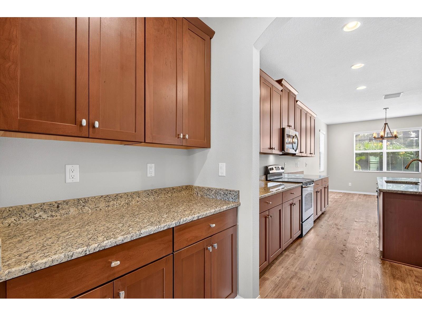 3938 90th Avenue E Parrish FL 34219 A4698484 image6