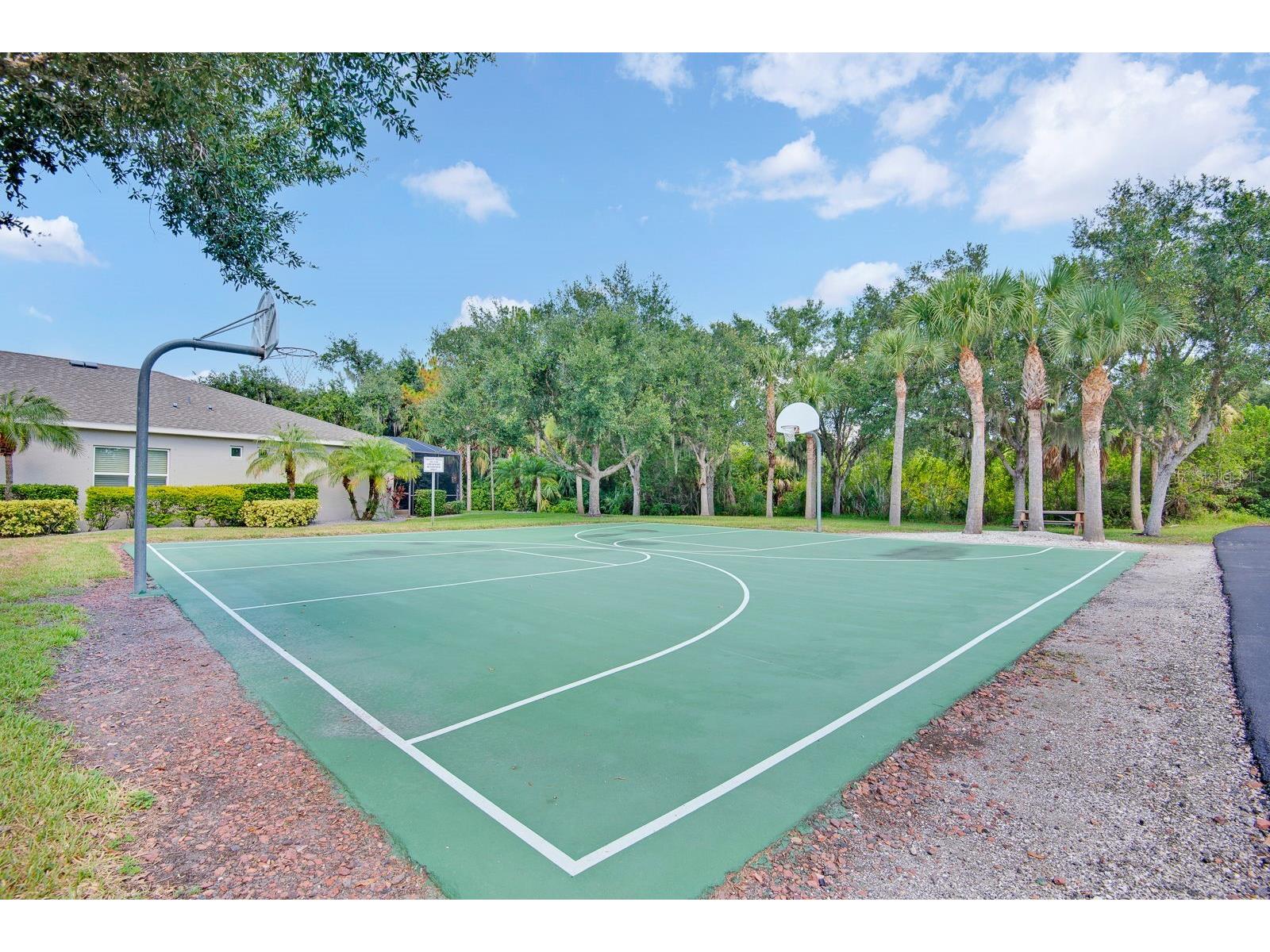 3938 90th Avenue E Parrish FL 34219 A4698484 image75