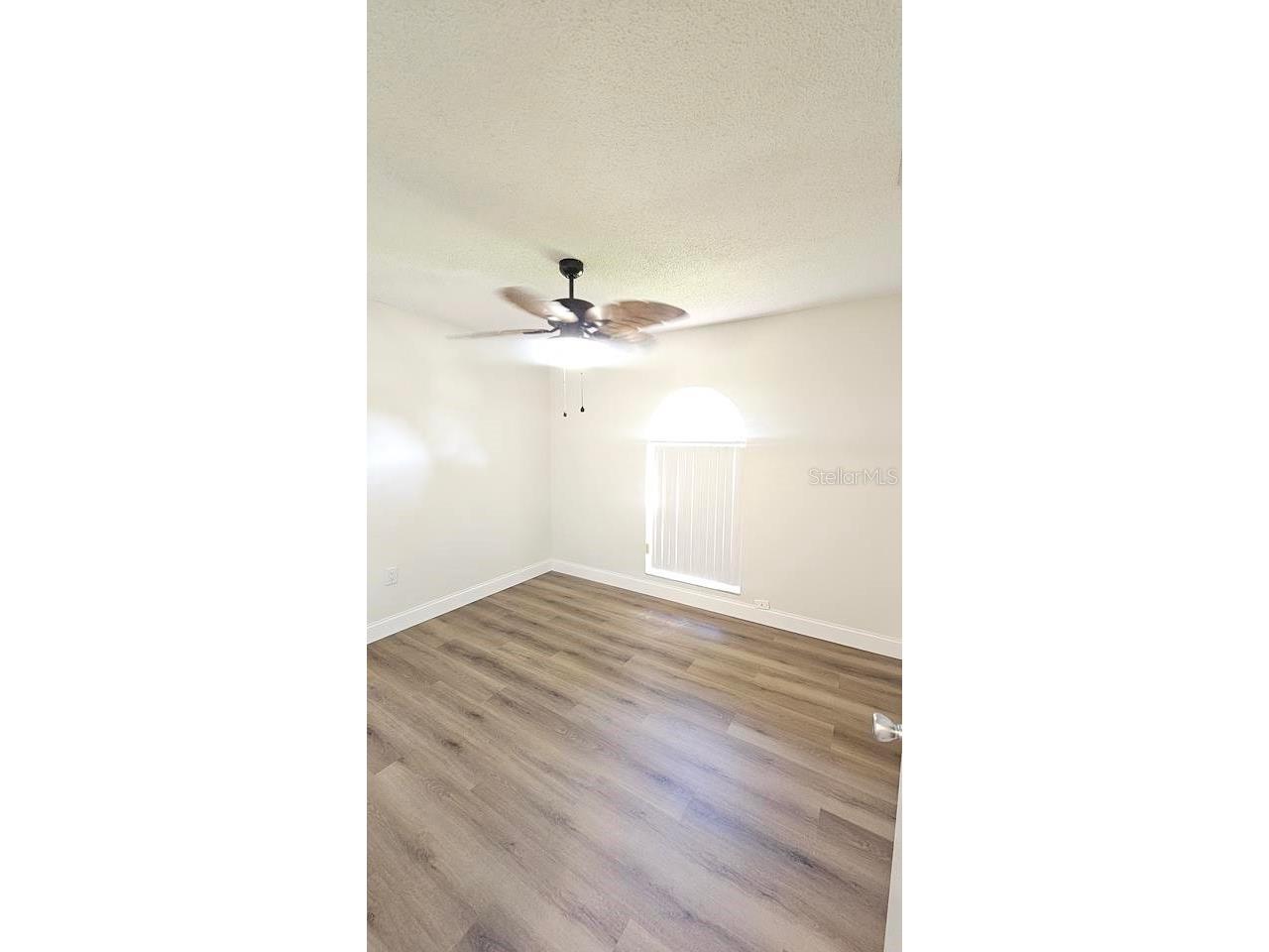3938 Creek Woods Drive Plant City FL 33563 TB8518609 image7