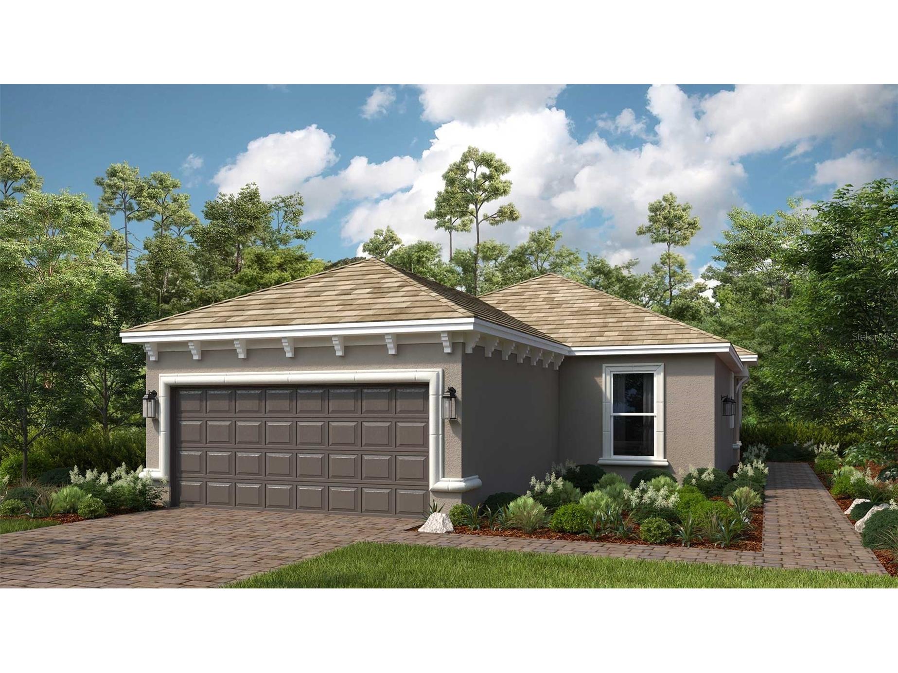 3938 Immacolata Way Wesley Chapel FL 33543 TB8471291 image1
