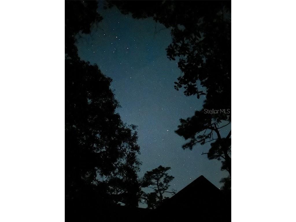 3939 Lake Erie Road Groveland FL 34736 O6301849 image10