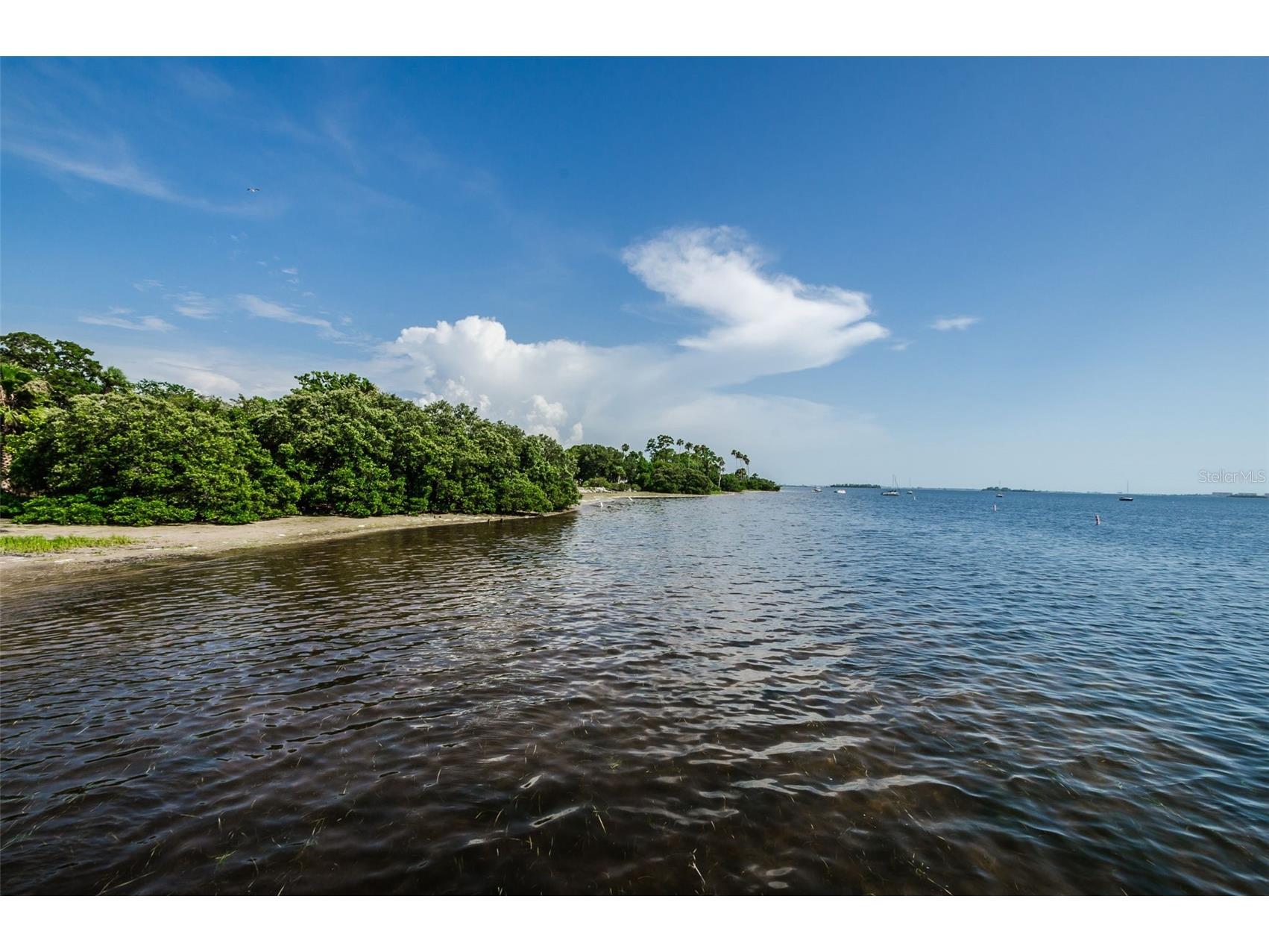 394 Georgia Avenue Crystal Beach FL 34681 TB8392043 image49