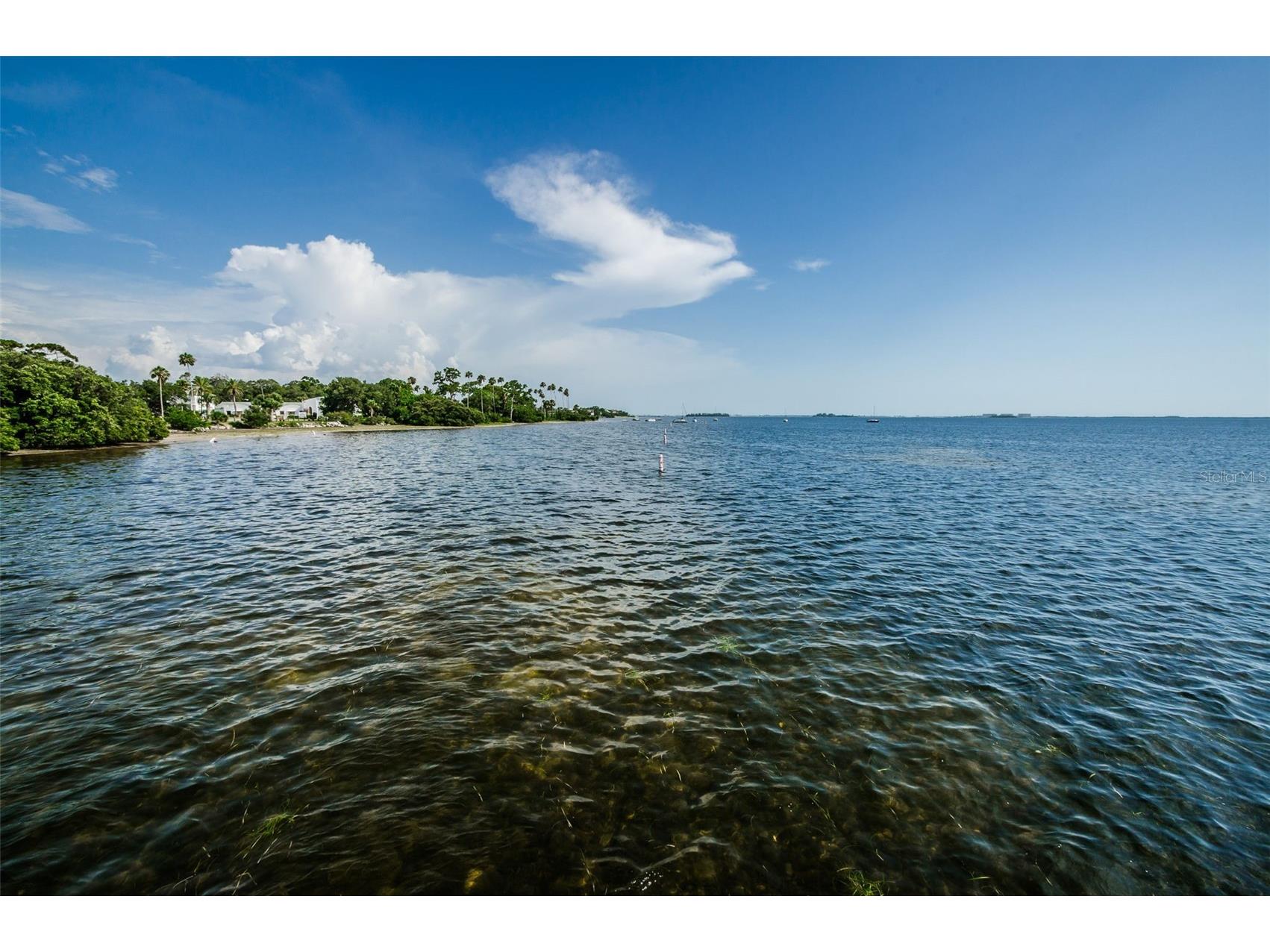 394 Georgia Avenue Crystal Beach FL 34681 TB8392043 image51