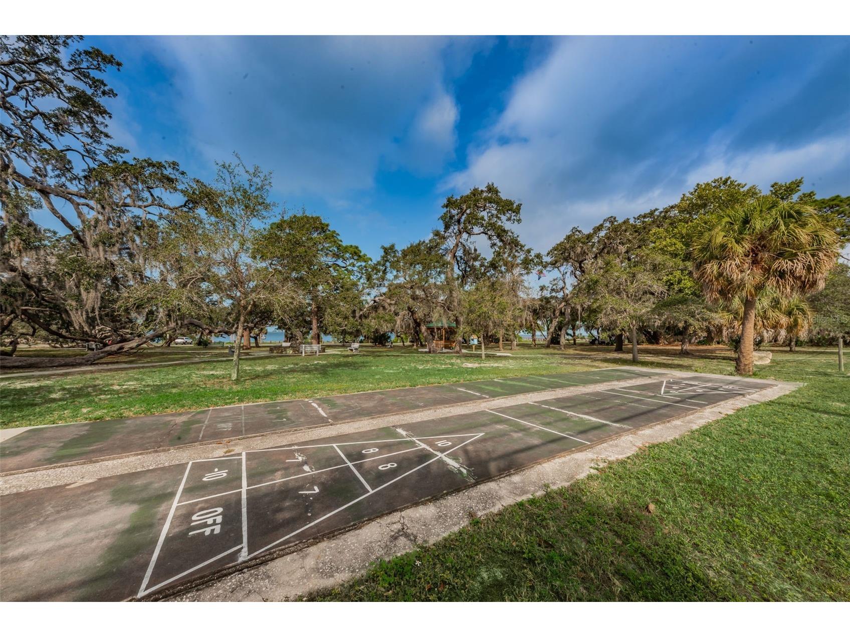 394 Georgia Avenue Crystal Beach FL 34681 TB8392043 image60
