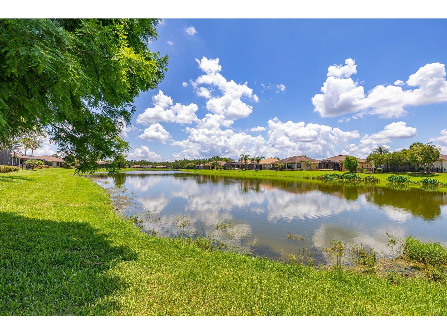 394 Monterey Street Kissimmee FL 34759 S5153097 image48