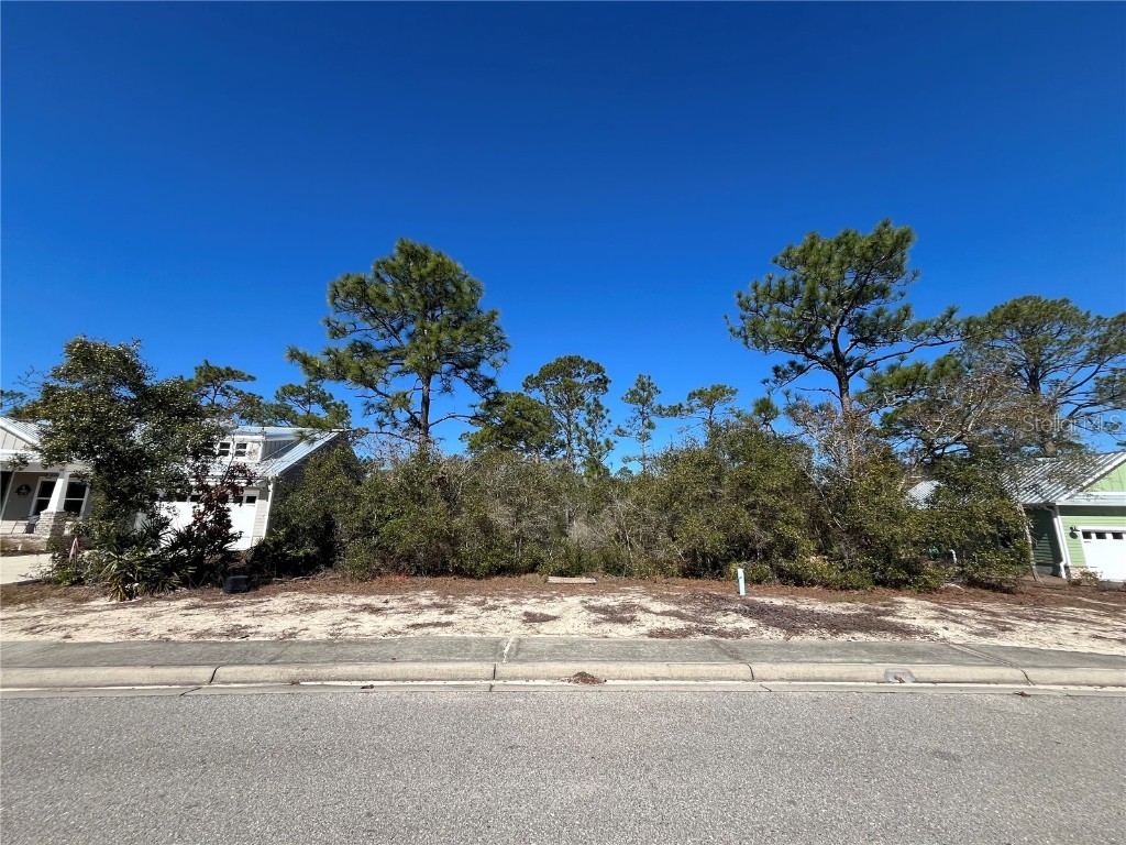 394 Royal Tern Way Carrabelle FL 32322 OK225319 image1