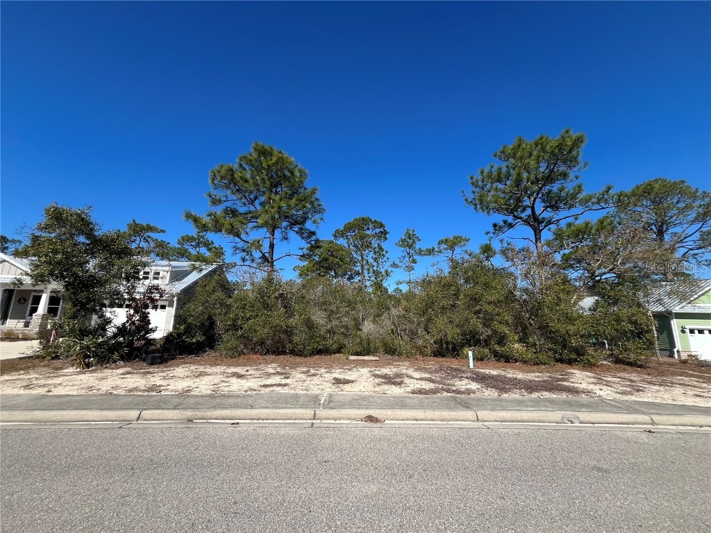 394 Royal Tern Way Carrabelle FL 32322 OK225319 image2