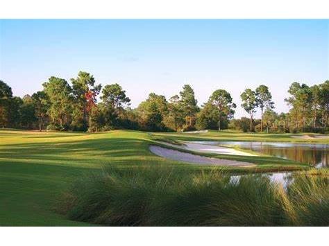 394 Royal Tern Way Carrabelle FL 32322 OK225319 image20