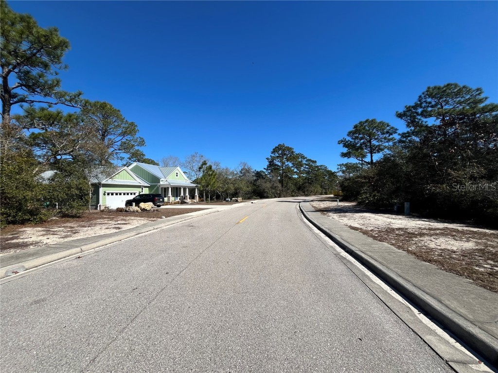394 Royal Tern Way Carrabelle FL 32322 OK225319 image3