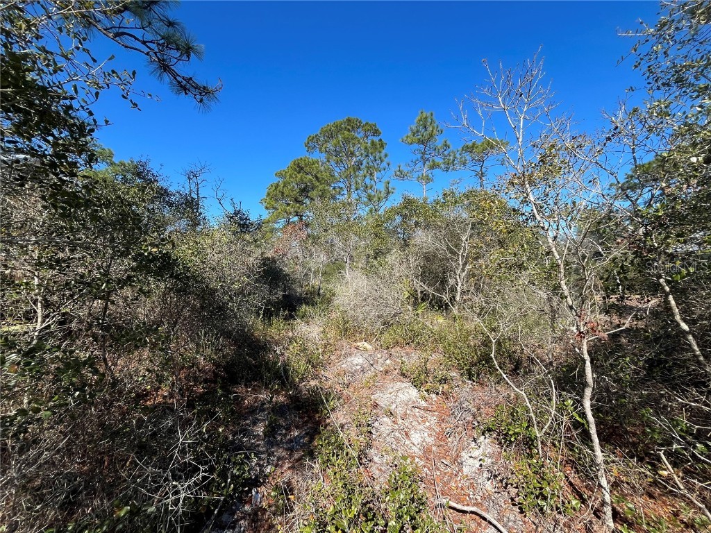 394 Royal Tern Way Carrabelle FL 32322 OK225319 image4