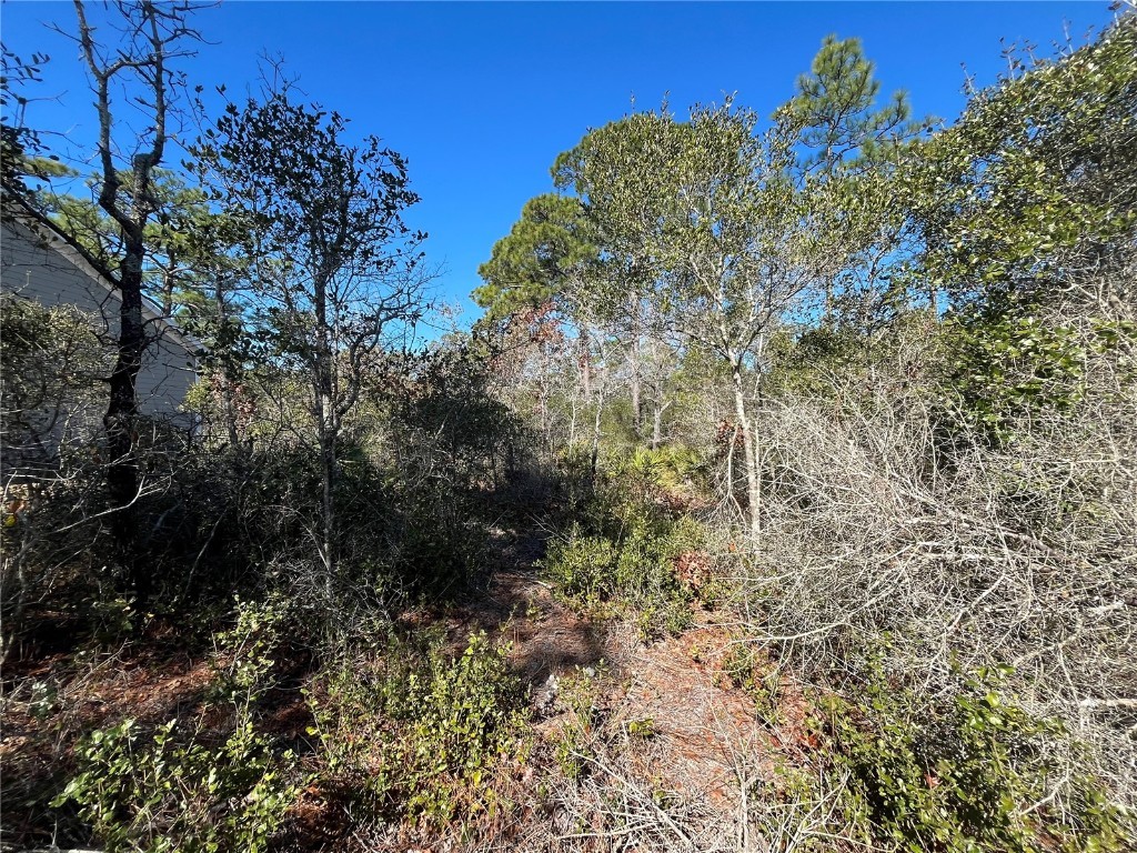 394 Royal Tern Way Carrabelle FL 32322 OK225319 image5