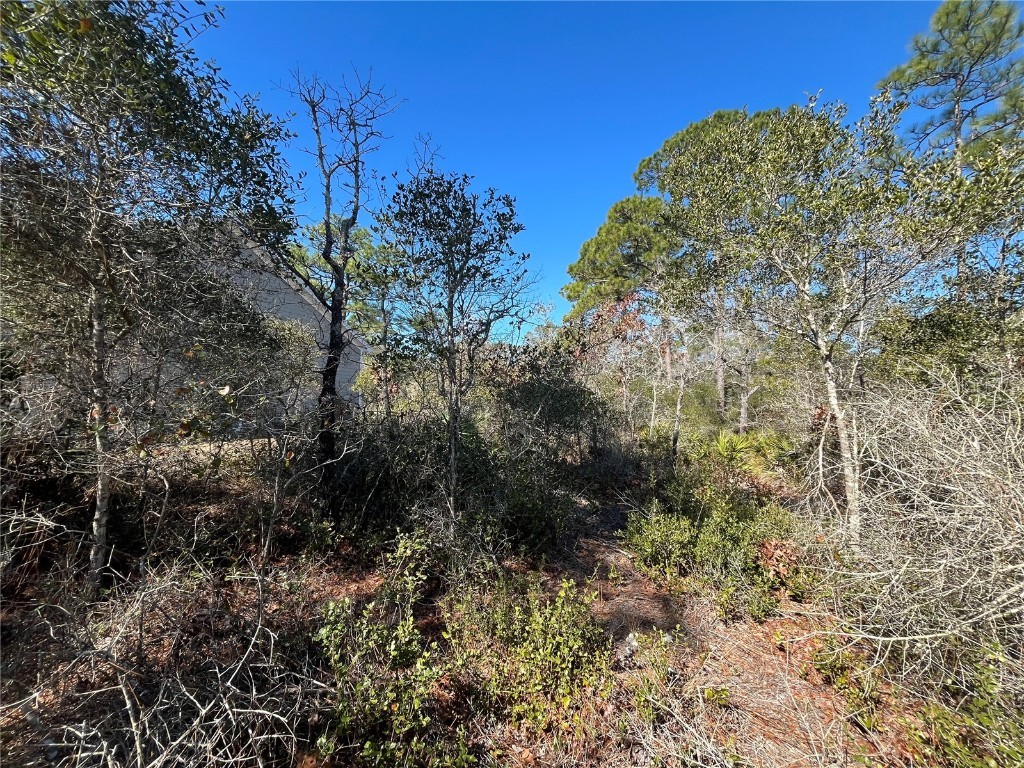 394 Royal Tern Way Carrabelle FL 32322 OK225319 image6