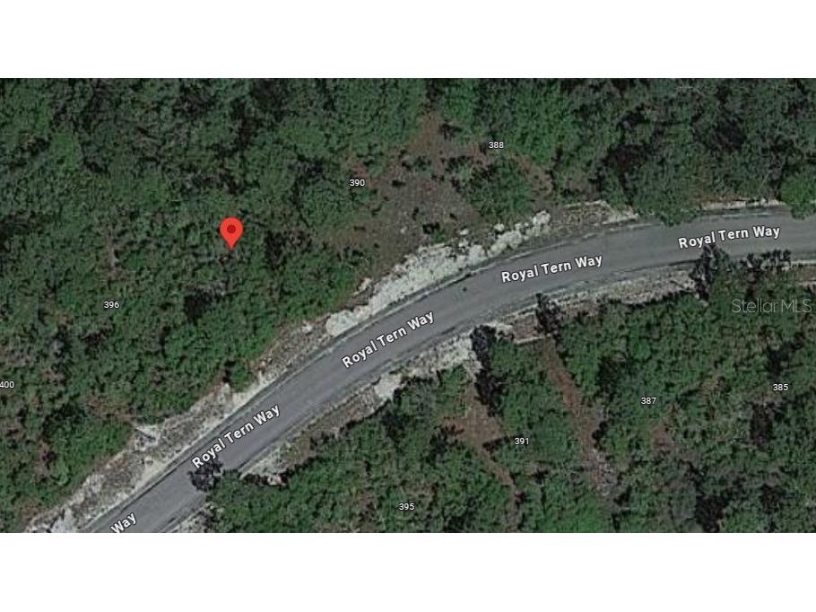 394 Royal Tern Way Carrabelle FL 32322 OK225319 image9