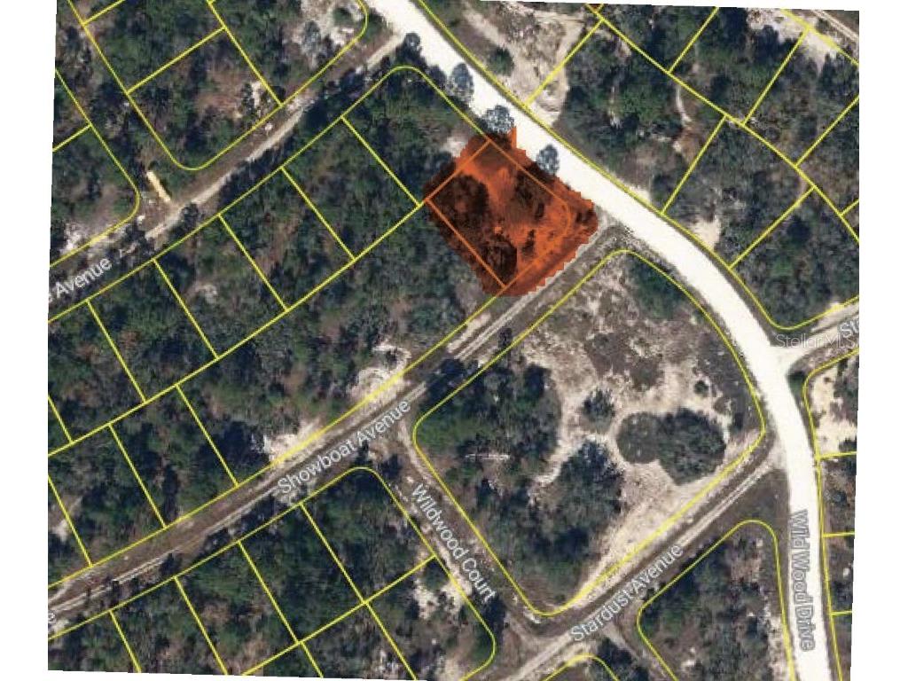 394 Showboat Avenue Lake Placid FL 33852 O6308927 image2