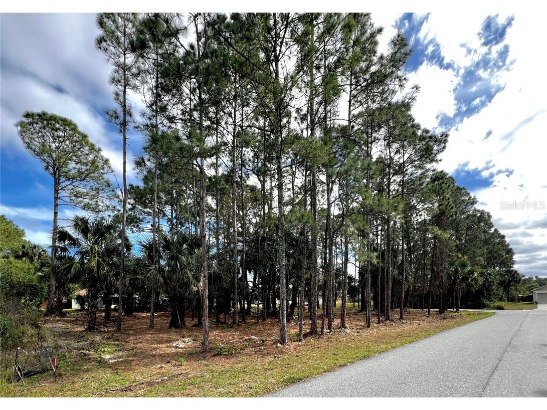 394 Tamarind Circle NW Palm Bay FL 32907 O6236292 image1