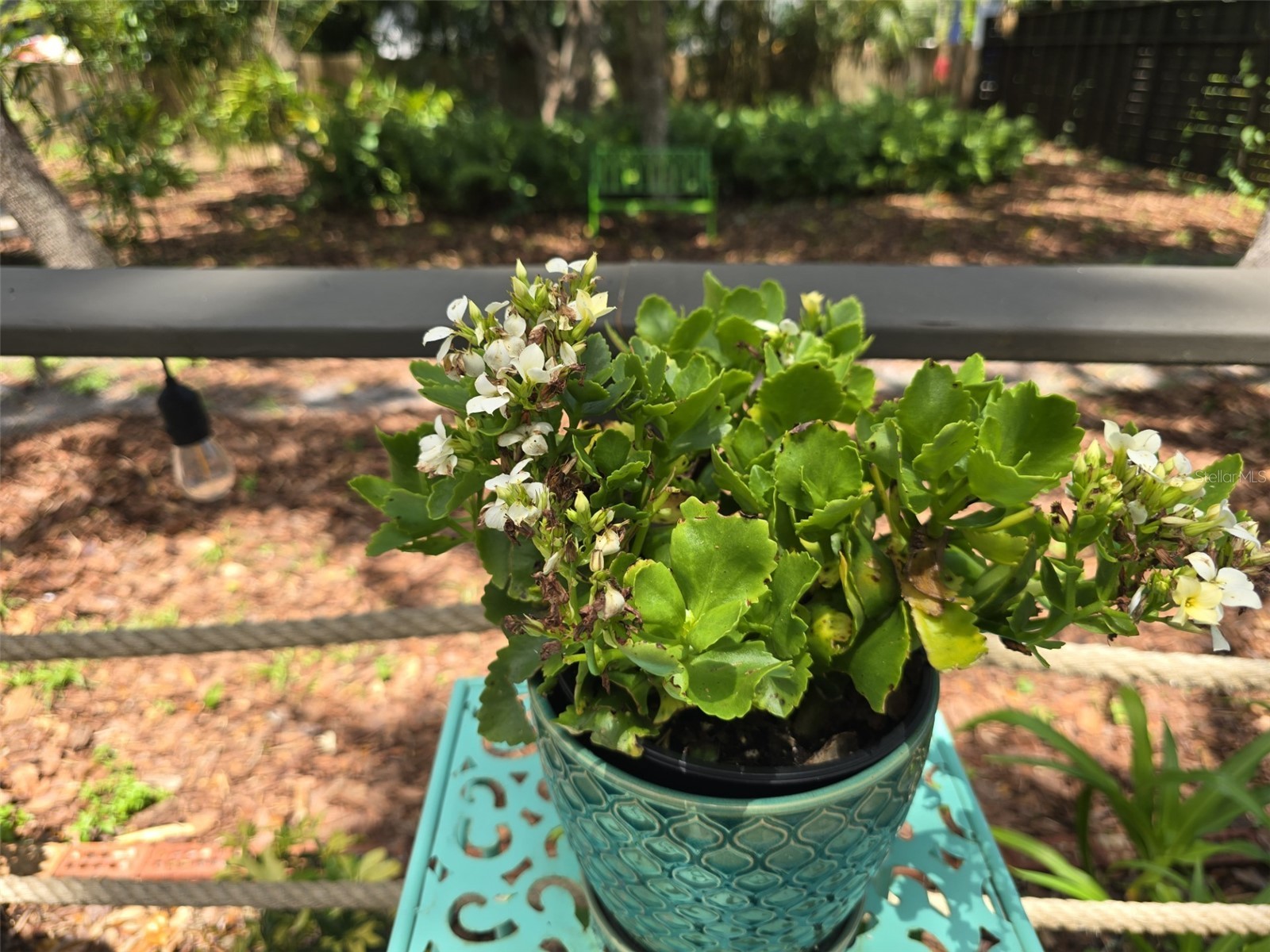 3940 Brookside Drive Sarasota FL 34231 A4653530 image32