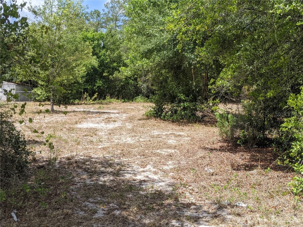 3940 E Izzard Place Dunnellon FL 34434 OM620388 image1