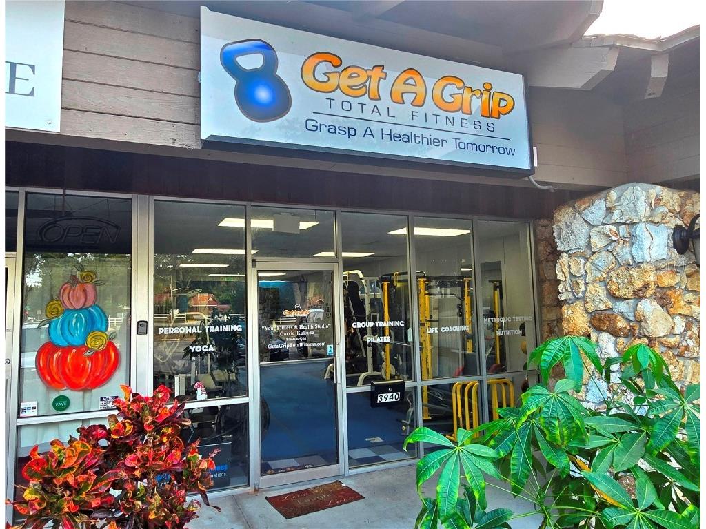 3940 Lake Padgett Drive Land O Lakes FL 34639 TB8449039 image1