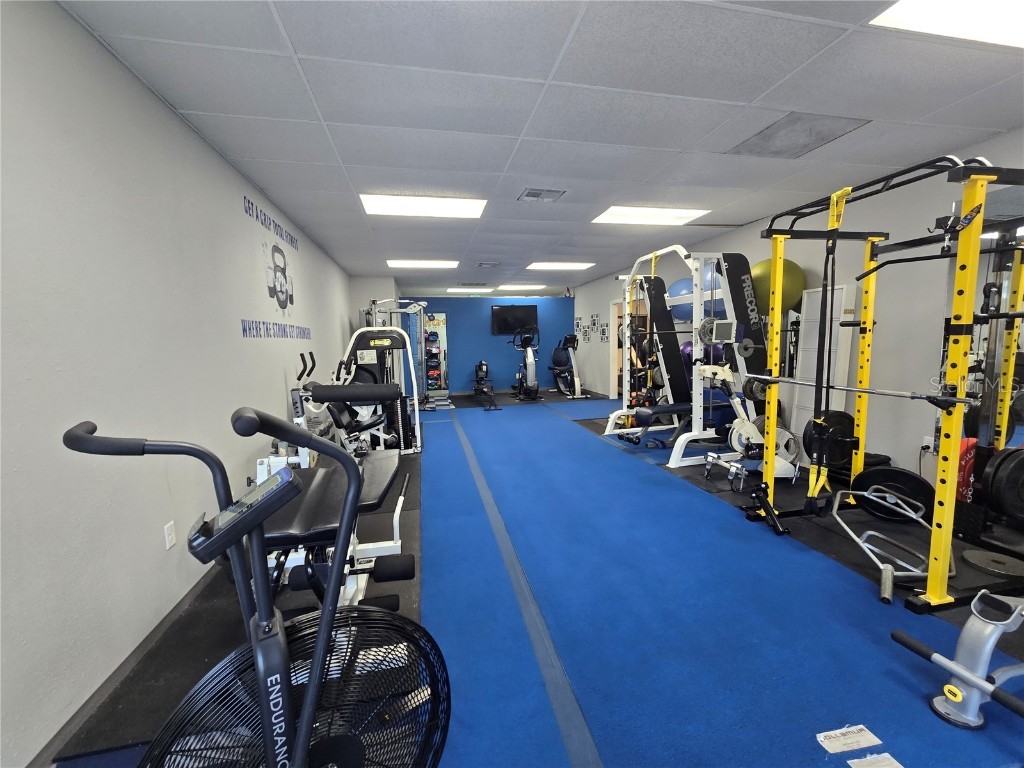 3940 Lake Padgett Drive Land O Lakes FL 34639 TB8449039 image11