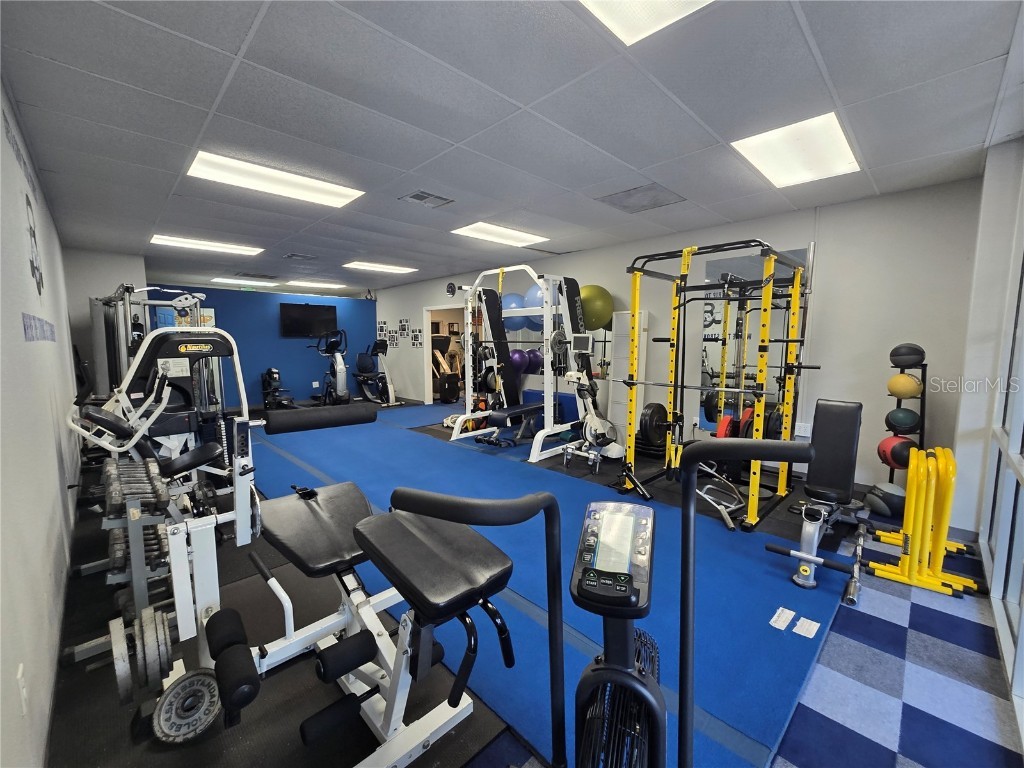 3940 Lake Padgett Drive Land O Lakes FL 34639 TB8449039 image12