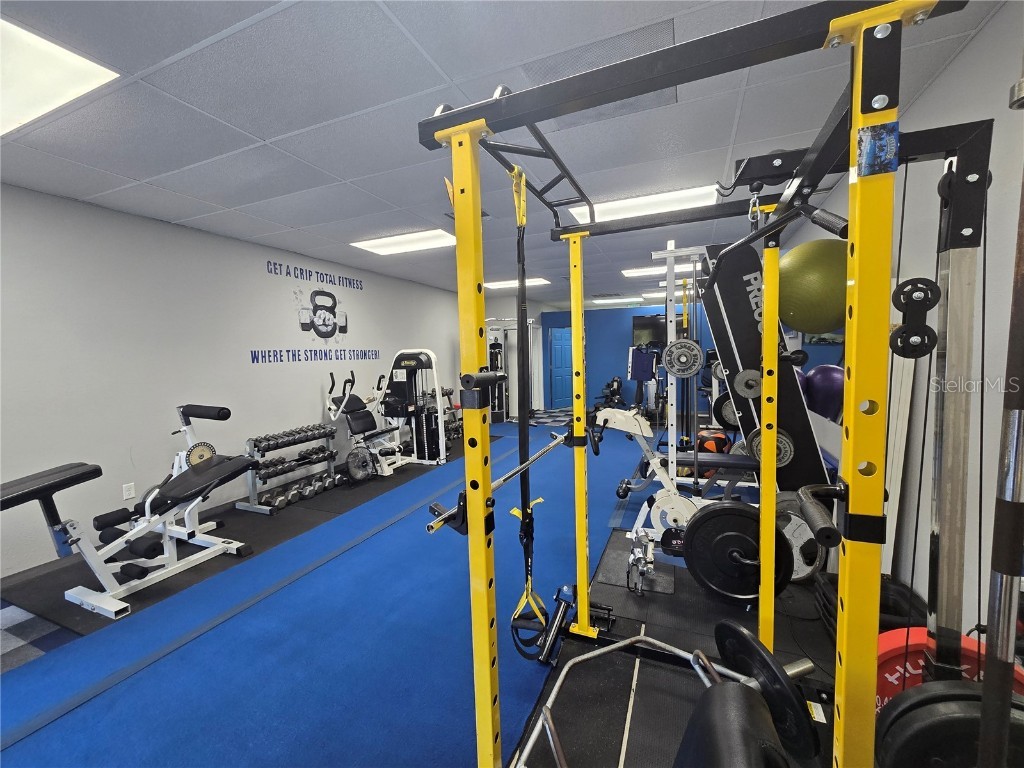 3940 Lake Padgett Drive Land O Lakes FL 34639 TB8449039 image13