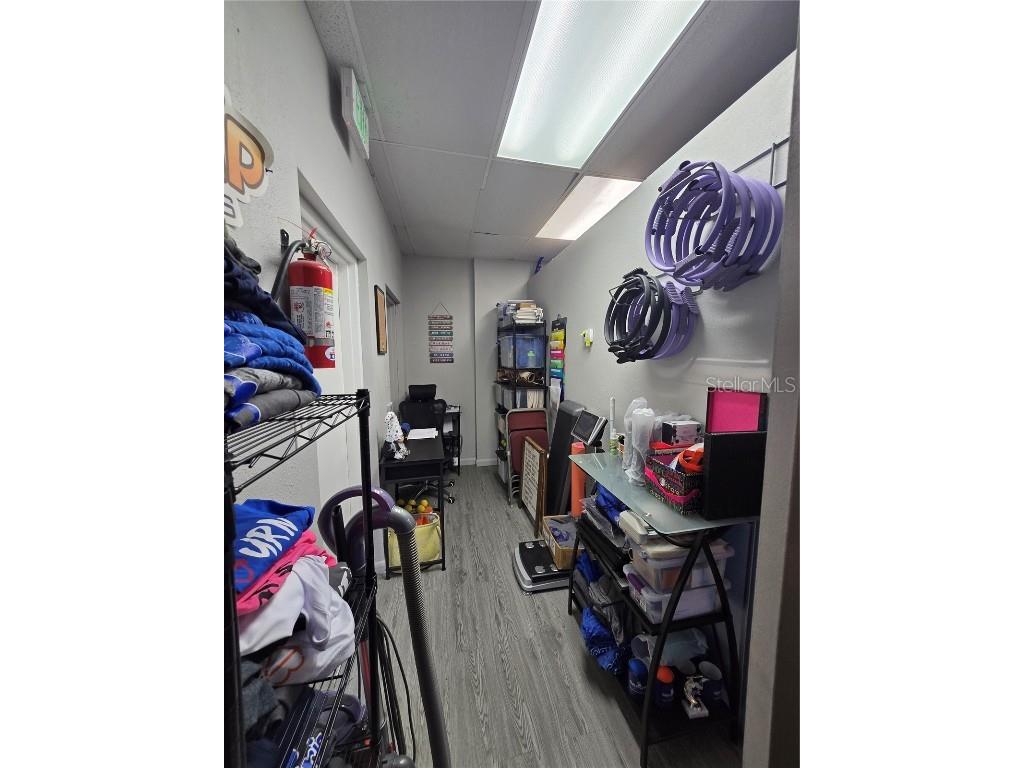 3940 Lake Padgett Drive Land O Lakes FL 34639 TB8449039 image18