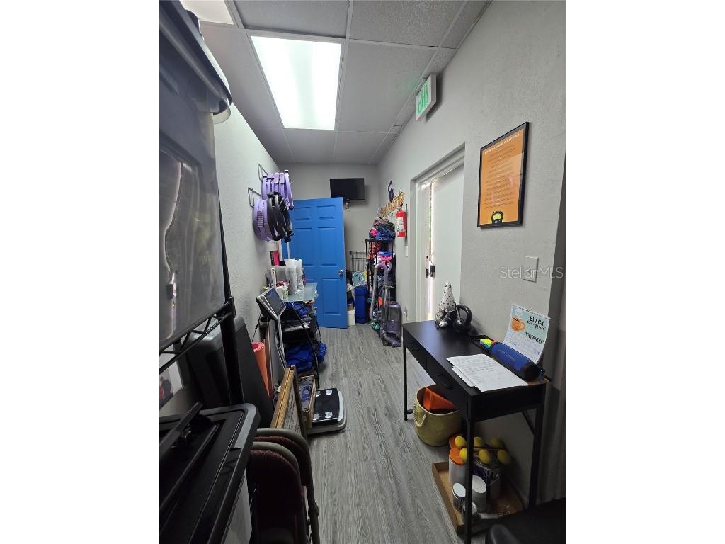 3940 Lake Padgett Drive Land O Lakes FL 34639 TB8449039 image19