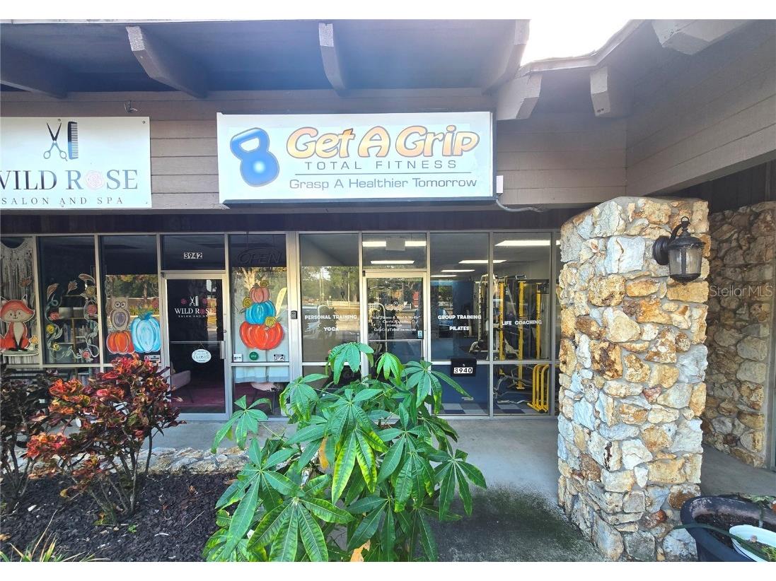 3940 Lake Padgett Drive Land O Lakes FL 34639 TB8449039 image2