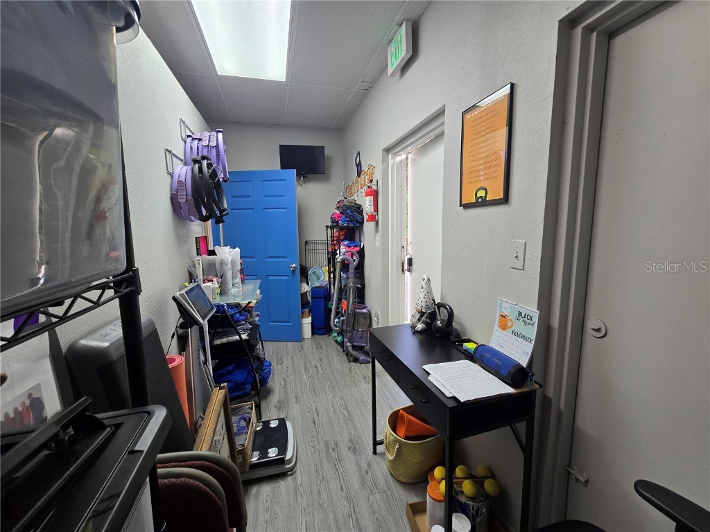 3940 Lake Padgett Drive Land O Lakes FL 34639 TB8449039 image20