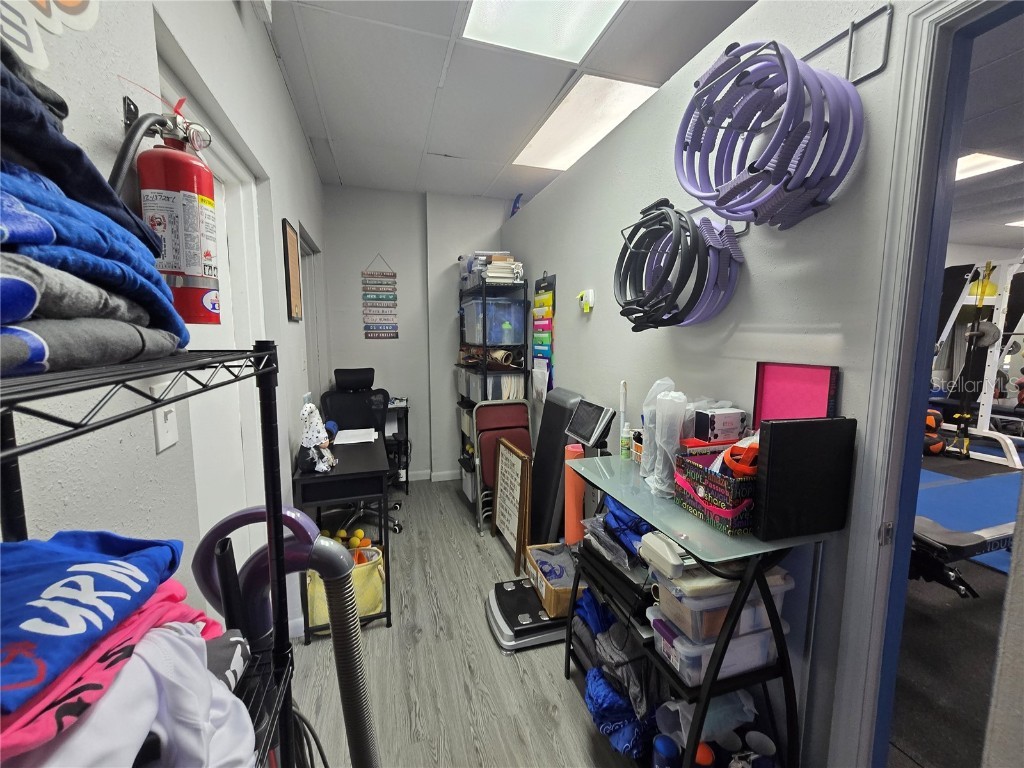 3940 Lake Padgett Drive Land O Lakes FL 34639 TB8449039 image21