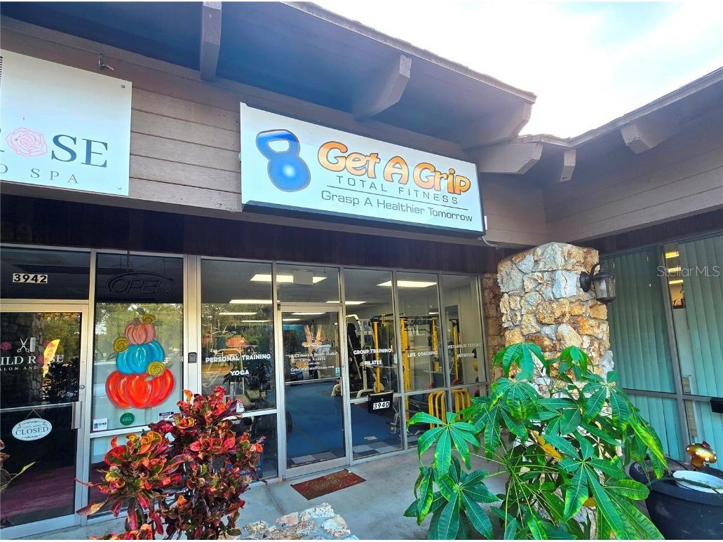 3940 Lake Padgett Drive Land O Lakes FL 34639 TB8449039 image3