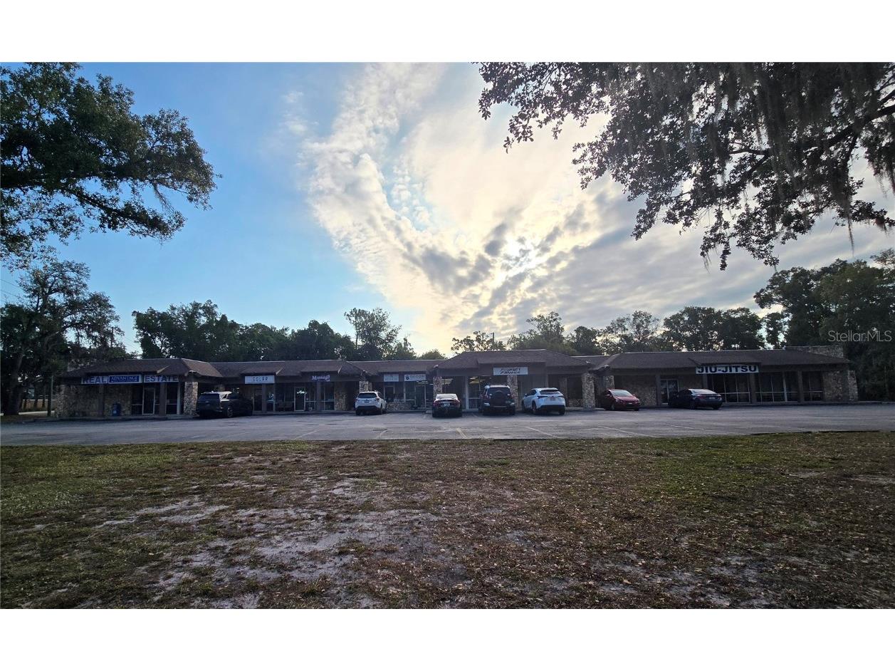 3940 Lake Padgett Drive Land O Lakes FL 34639 TB8449039 image4