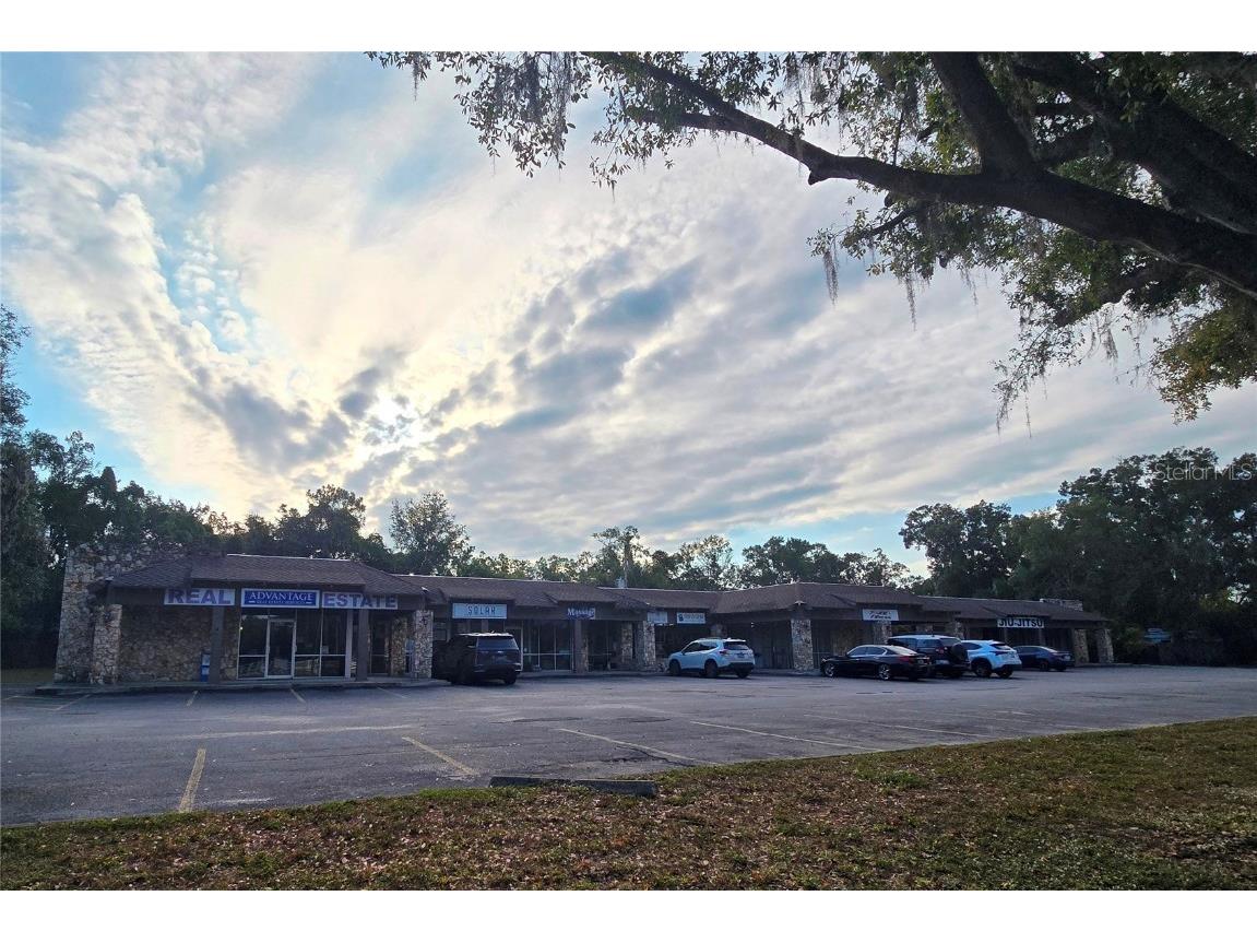 3940 Lake Padgett Drive Land O Lakes FL 34639 TB8449039 image5