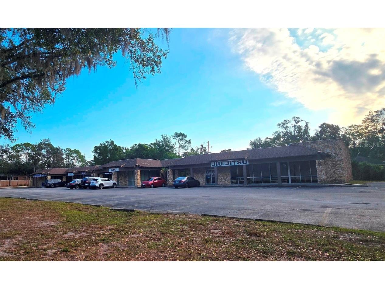 3940 Lake Padgett Drive Land O Lakes FL 34639 TB8449039 image6