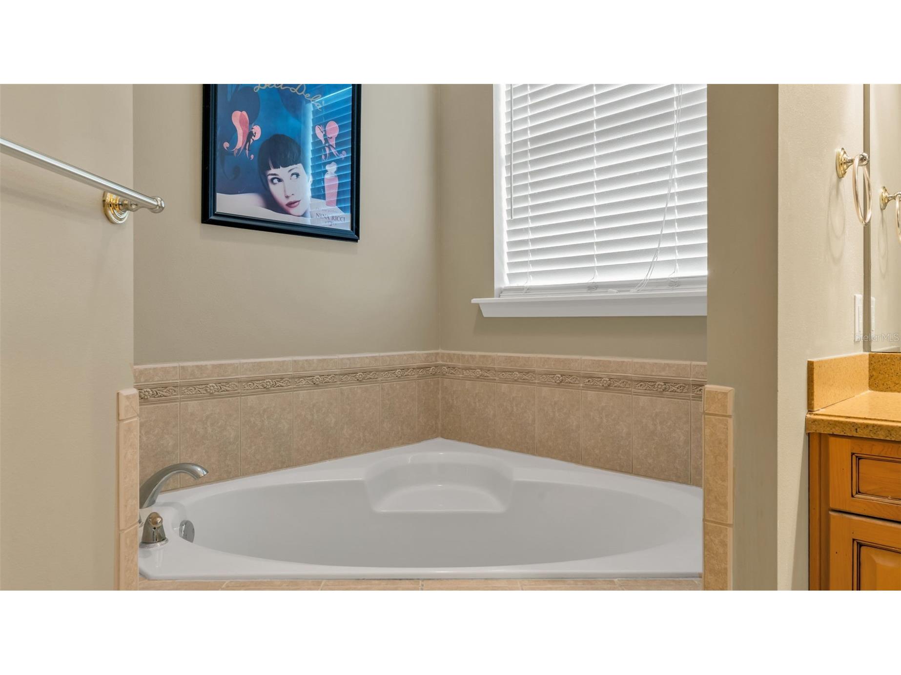3940 Sunnywood Circle Lakeland FL 33812 L4961297 image23