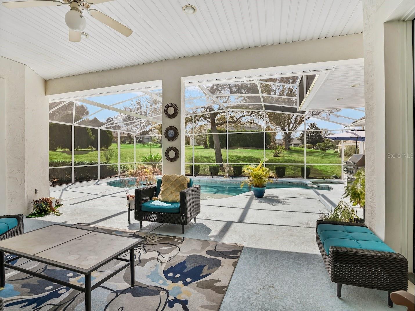 39407 Treeline Drive Lady Lake FL 32159 G5109392 image29