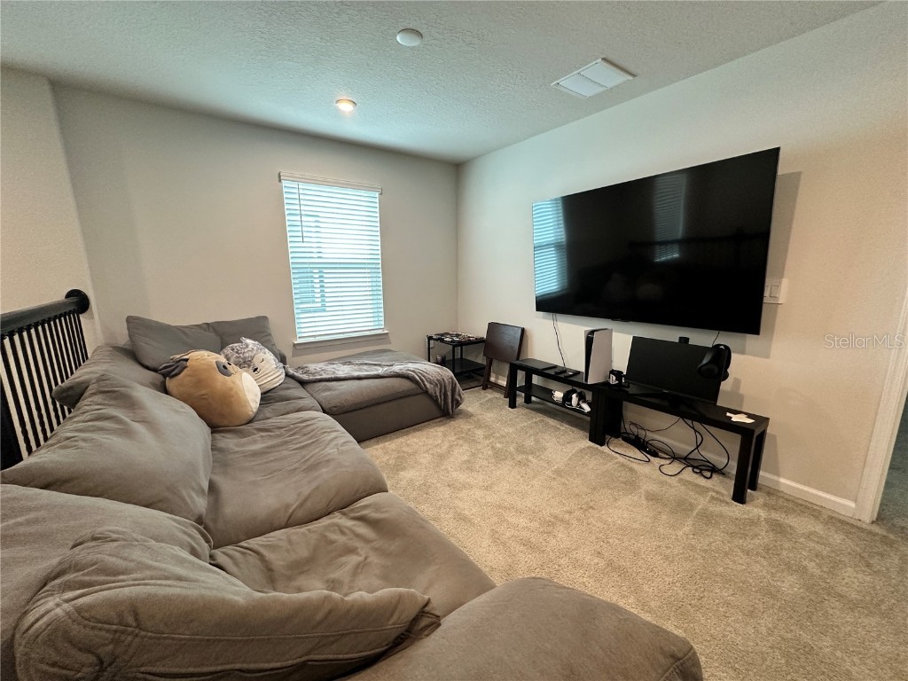 3941 Cuyahoga Valley Court Apopka FL 32712 O6347562 image24