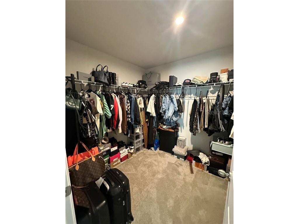 3941 Cuyahoga Valley Court Apopka FL 32712 O6347562 image27