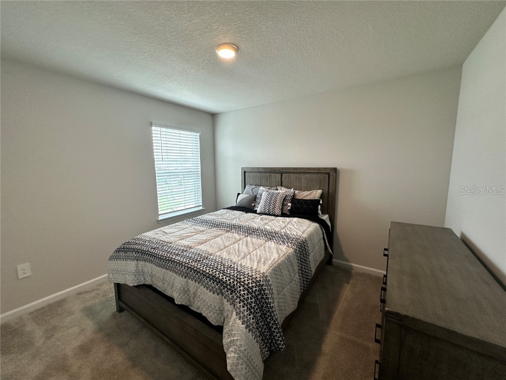 3941 Cuyahoga Valley Court Apopka FL 32712 O6347562 image30