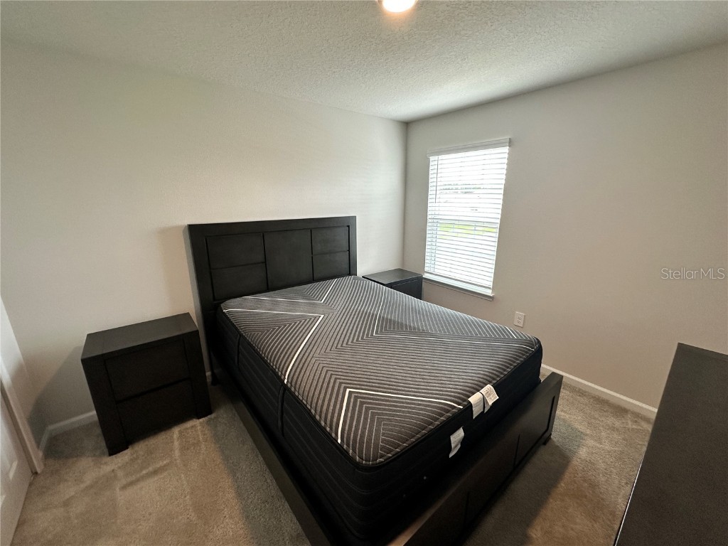 3941 Cuyahoga Valley Court Apopka FL 32712 O6347562 image32