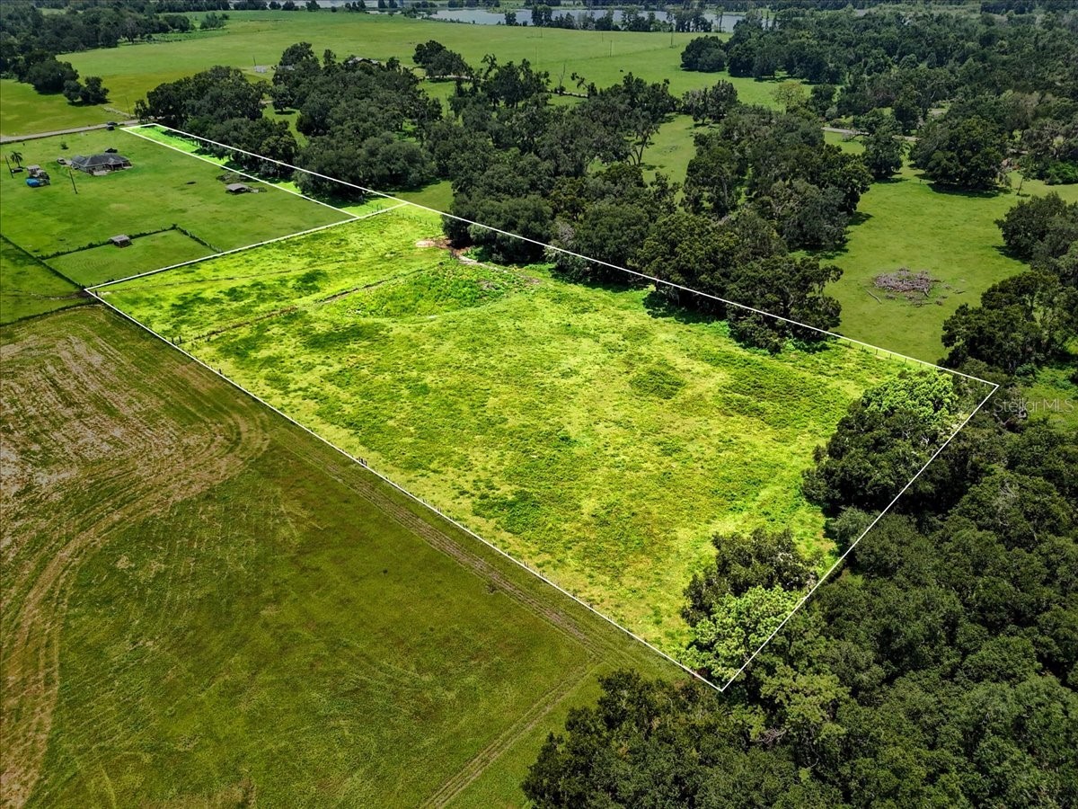 39410 Sparkman Road Dade City FL 33525 L4952813 image10