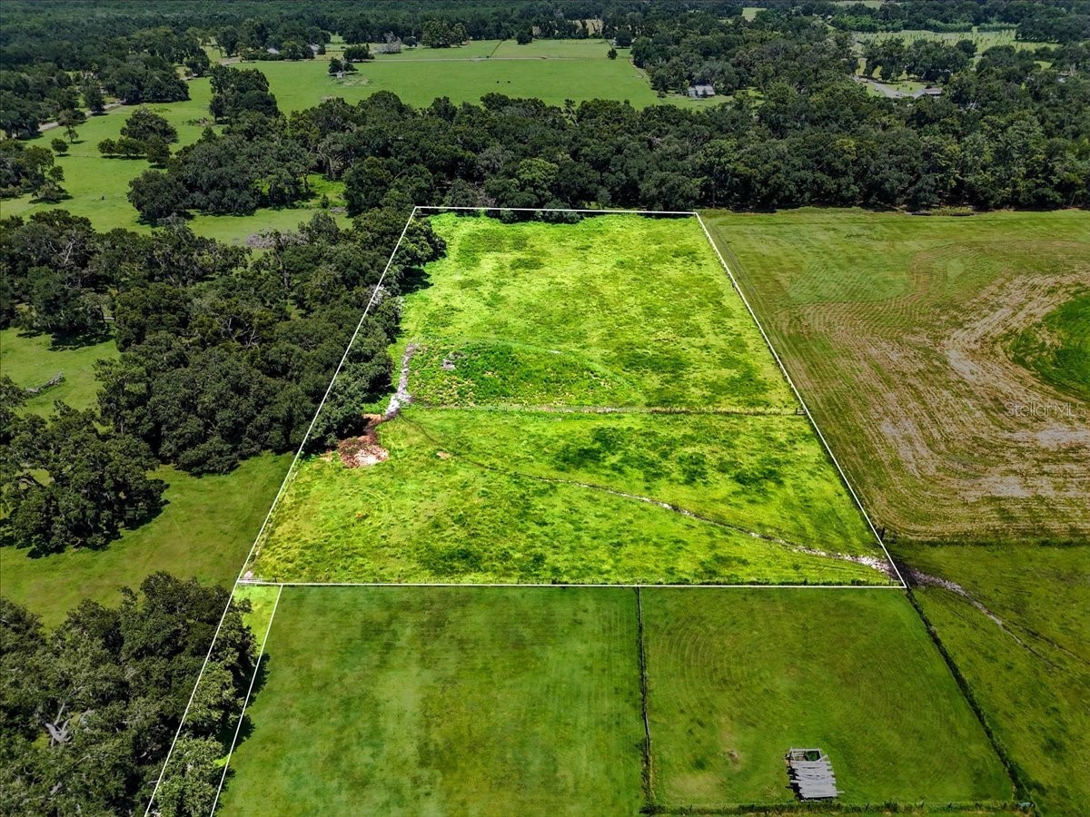 39410 Sparkman Road Dade City FL 33525 L4952813 image16