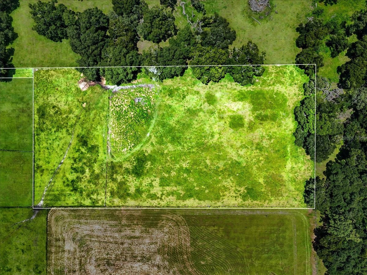 39410 Sparkman Road Dade City FL 33525 L4952813 image22